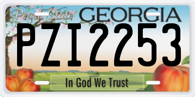 GA license plate PZI2253
