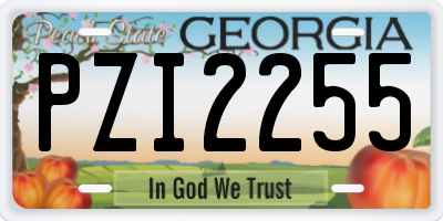 GA license plate PZI2255