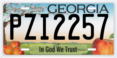 GA license plate PZI2257