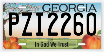 GA license plate PZI2260
