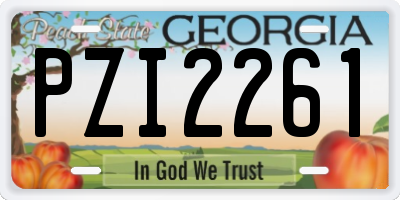 GA license plate PZI2261