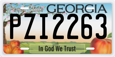 GA license plate PZI2263