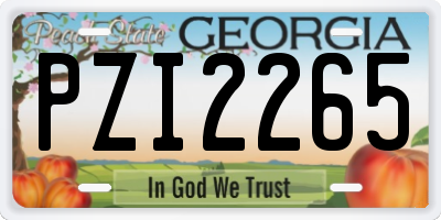 GA license plate PZI2265