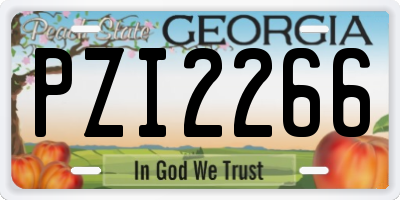 GA license plate PZI2266