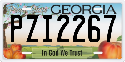 GA license plate PZI2267