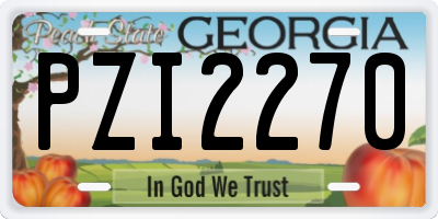 GA license plate PZI2270