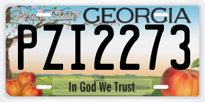 GA license plate PZI2273