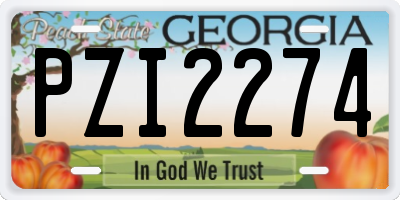 GA license plate PZI2274