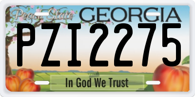GA license plate PZI2275