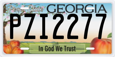 GA license plate PZI2277