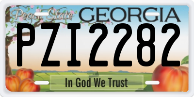 GA license plate PZI2282