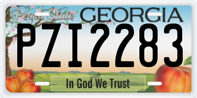 GA license plate PZI2283