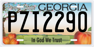 GA license plate PZI2290