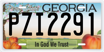 GA license plate PZI2291