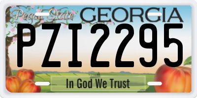 GA license plate PZI2295