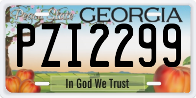 GA license plate PZI2299