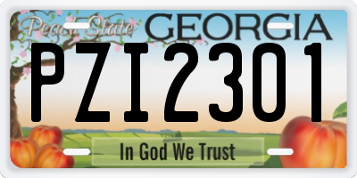 GA license plate PZI2301