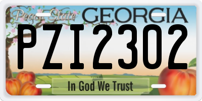GA license plate PZI2302