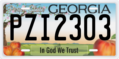 GA license plate PZI2303