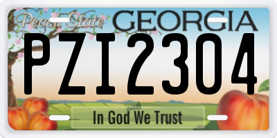 GA license plate PZI2304