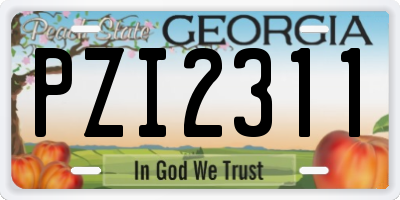 GA license plate PZI2311