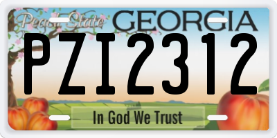 GA license plate PZI2312