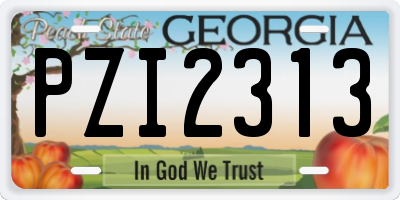 GA license plate PZI2313