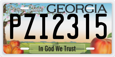GA license plate PZI2315