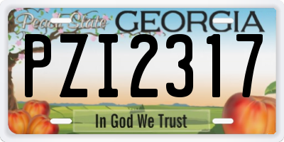 GA license plate PZI2317