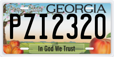 GA license plate PZI2320