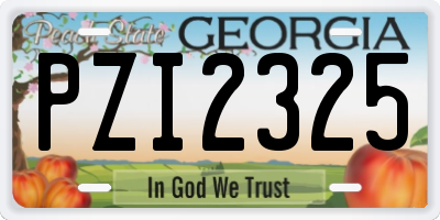 GA license plate PZI2325