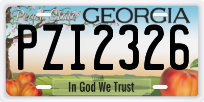 GA license plate PZI2326