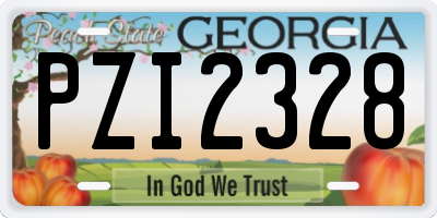 GA license plate PZI2328