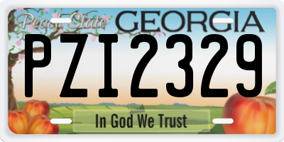 GA license plate PZI2329
