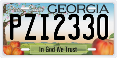 GA license plate PZI2330