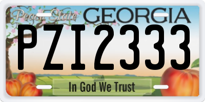 GA license plate PZI2333