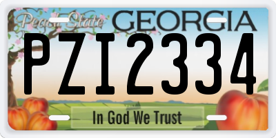 GA license plate PZI2334