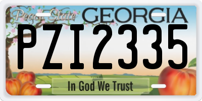 GA license plate PZI2335
