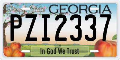 GA license plate PZI2337