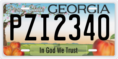 GA license plate PZI2340