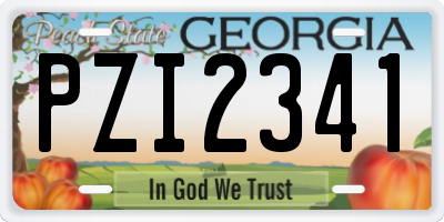 GA license plate PZI2341