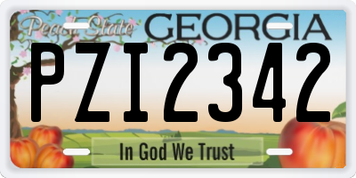GA license plate PZI2342