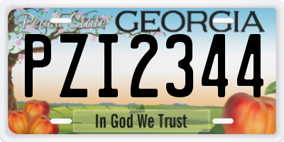 GA license plate PZI2344