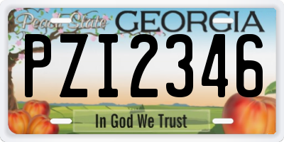 GA license plate PZI2346