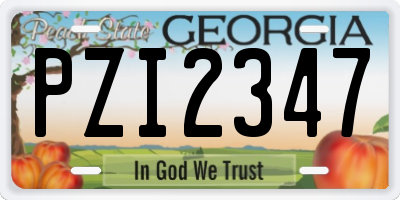GA license plate PZI2347