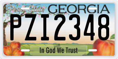 GA license plate PZI2348