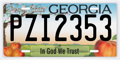 GA license plate PZI2353