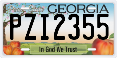 GA license plate PZI2355