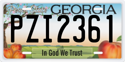 GA license plate PZI2361