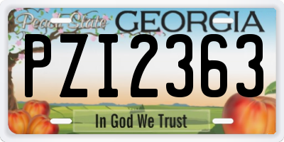 GA license plate PZI2363